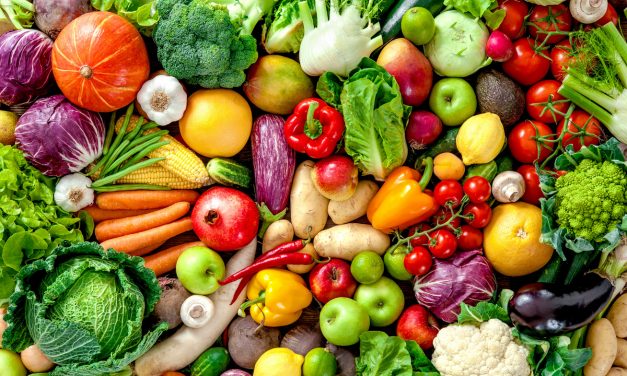 A zöldség-gyümölcs feldolgozóipar vagyoni, jövedelmi és pénzügyi helyzetének elemzése