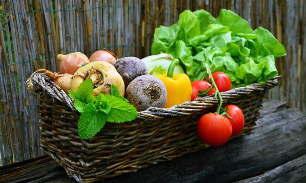 FruitVeB Bulletin – Zöldségtermesztés (2. rész)