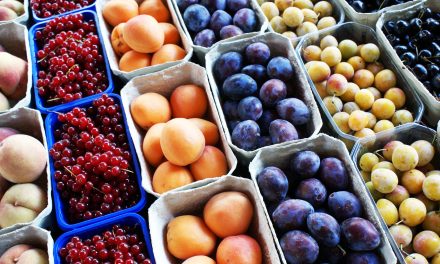 A gyümölcstermelők és vevőkapcsolataik minőségének feltárása (2. rész)