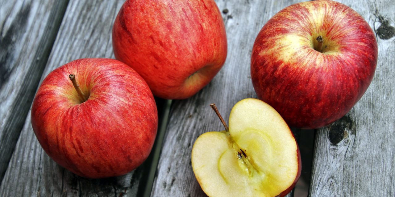 Az étkezési almatermesztés gazdaságossága (1. rész)